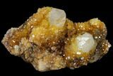 Sunshine Cactus Quartz Crystal Cluster - South Africa #115162-1